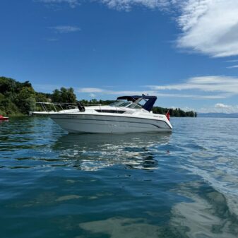 8f9410bd-7734-4e65-966d-f2abdb5a8a4b