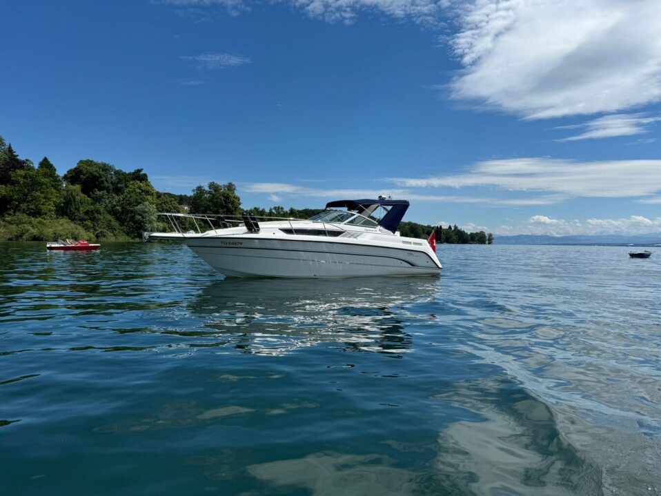 8f9410bd-7734-4e65-966d-f2abdb5a8a4b