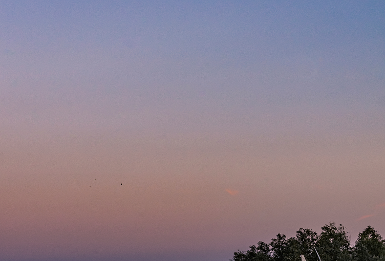 boat-hotel-in-danube-delta-romania-2026-01-08-07-51-23-utc 1